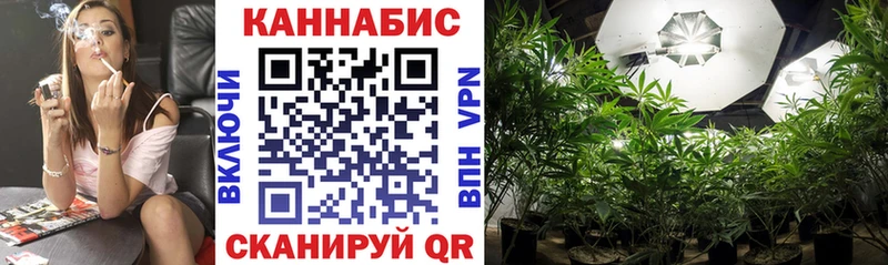 как найти наркотики  Удачный  Каннабис конопля 